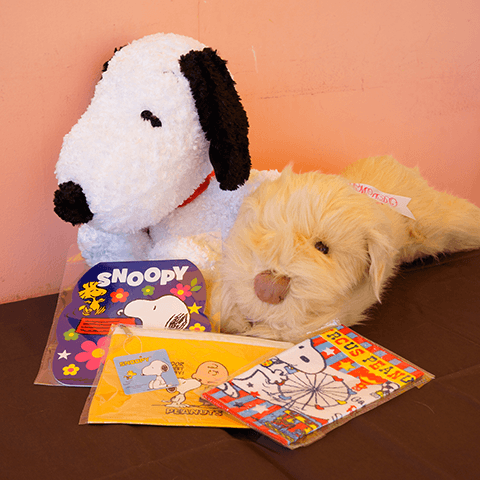 はちさんレースショー