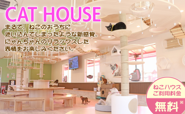 ねこハウス｜つくばわんわんランド