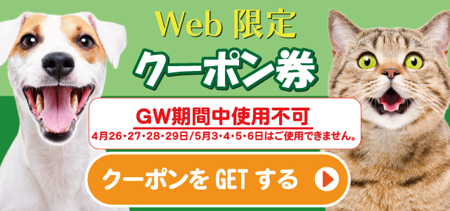 web限定クーポン