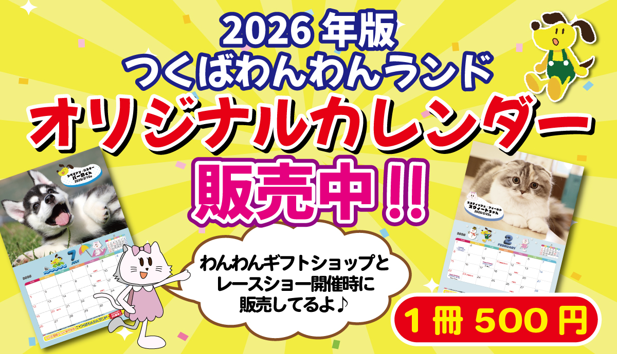 カレンダー2026SL